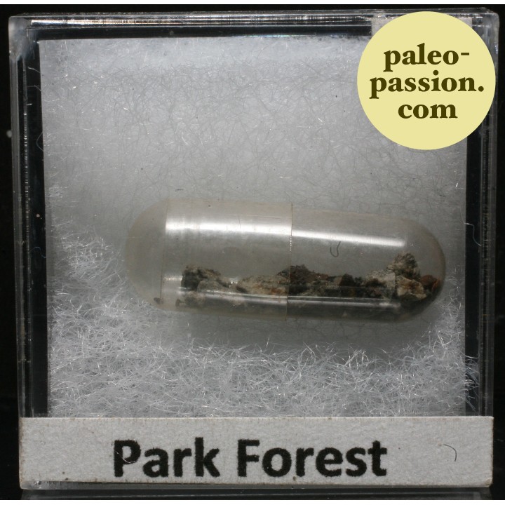 Meteorite Chondrite L5 - Park Forest, Illinois