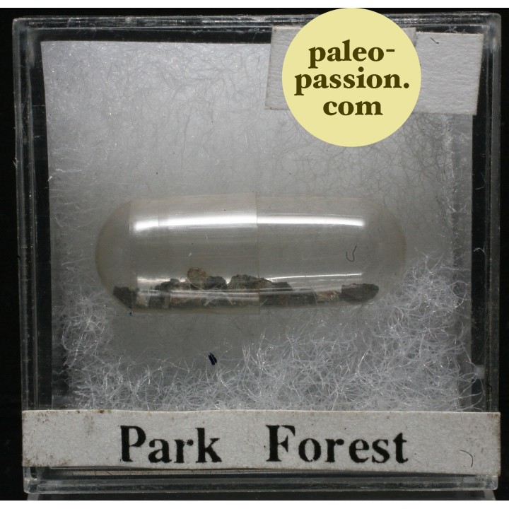 Météorite Chondrite L5 - Park Forest, Illinois