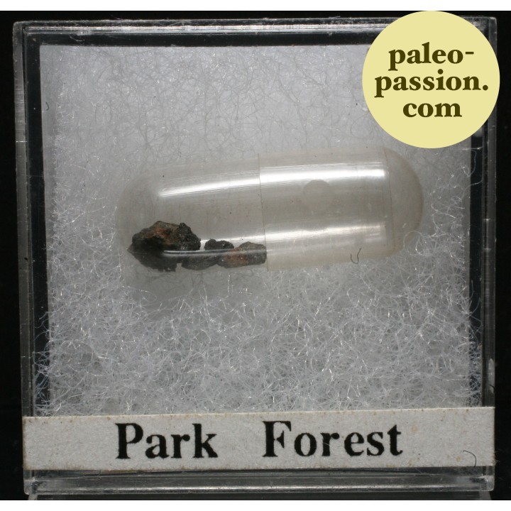 Météorite Chondrite L5 - Park Forest, Illinois