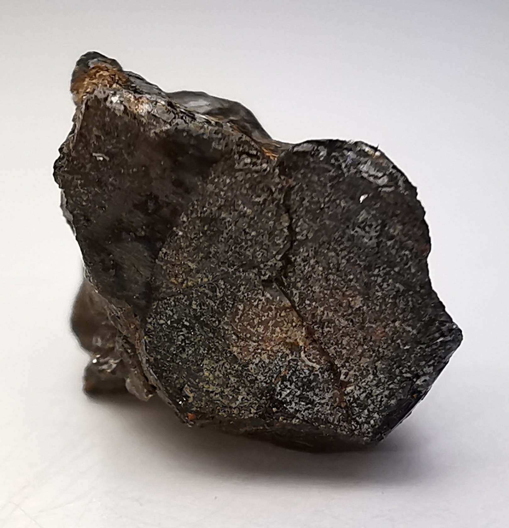 Meteorite Pallasite - Fukang, China