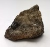 Meteorite Pallasite - Fukang, China