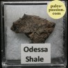 Meteorite Octahedrite IAB-MG - Odessa, Texas
