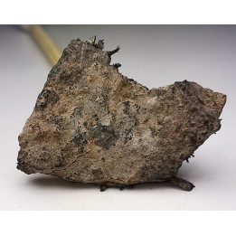 Meteorite Octahedrite IAB-MG - Odessa, Texas