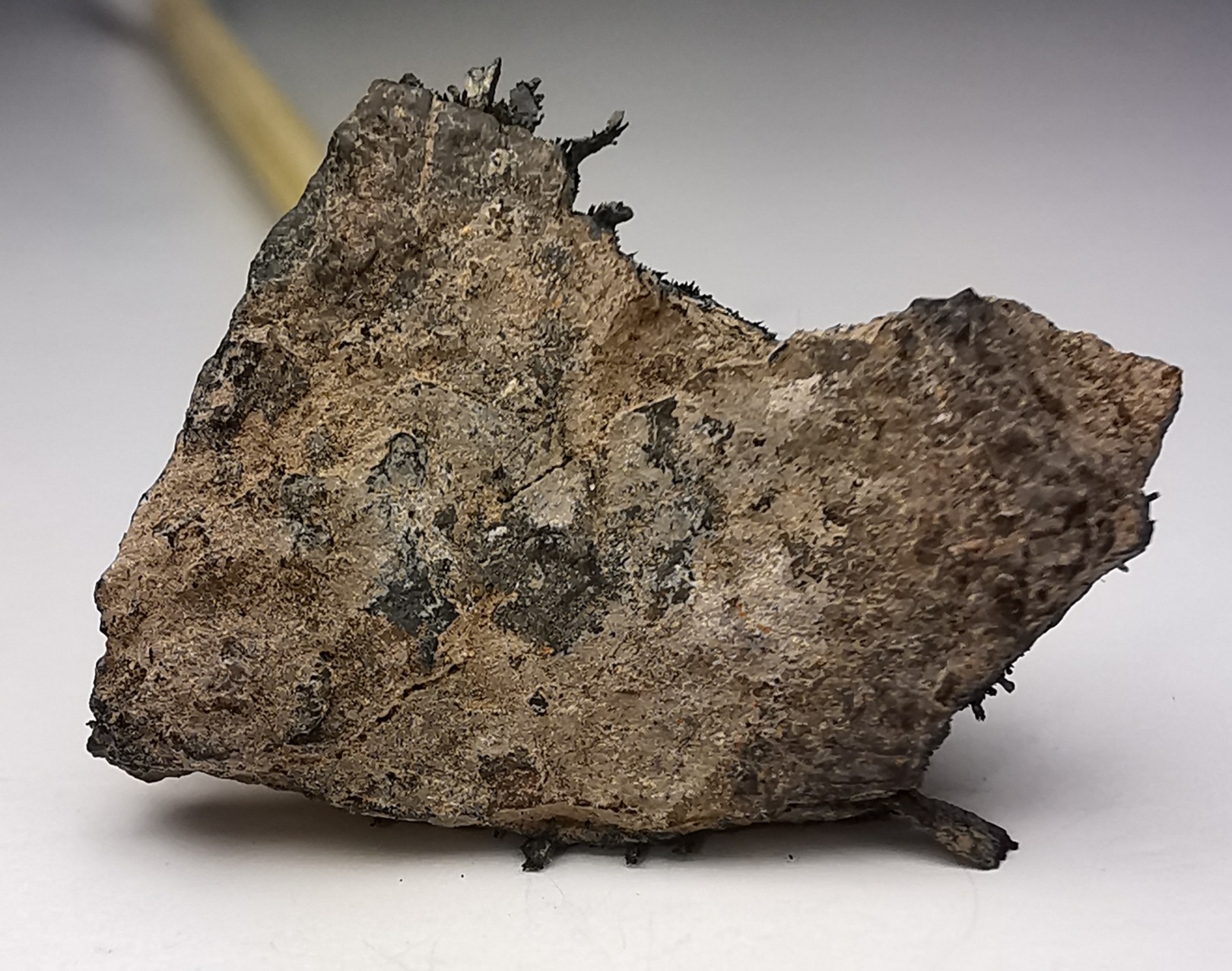 Meteorite Octahedrite IAB-MG - Odessa, Texas