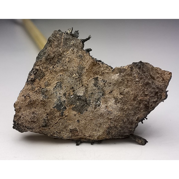 Météorite Octaédrite IAB-MG - Odessa, Texas