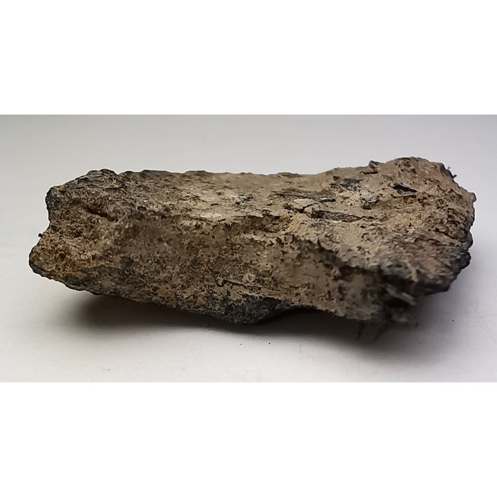 Meteorite Octahedrite IAB-MG - Odessa, Texas