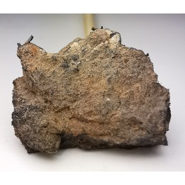 Météorite Octaédrite IAB-MG - Odessa, Texas