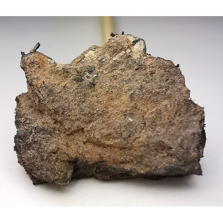 Météorite Octaédrite IAB-MG - Odessa, Texas