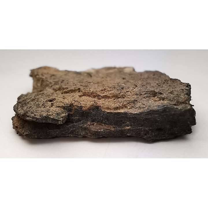 Météorite Octaédrite IAB-MG - Odessa, Texas
