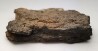 Météorite Octaédrite IAB-MG - Odessa, Texas