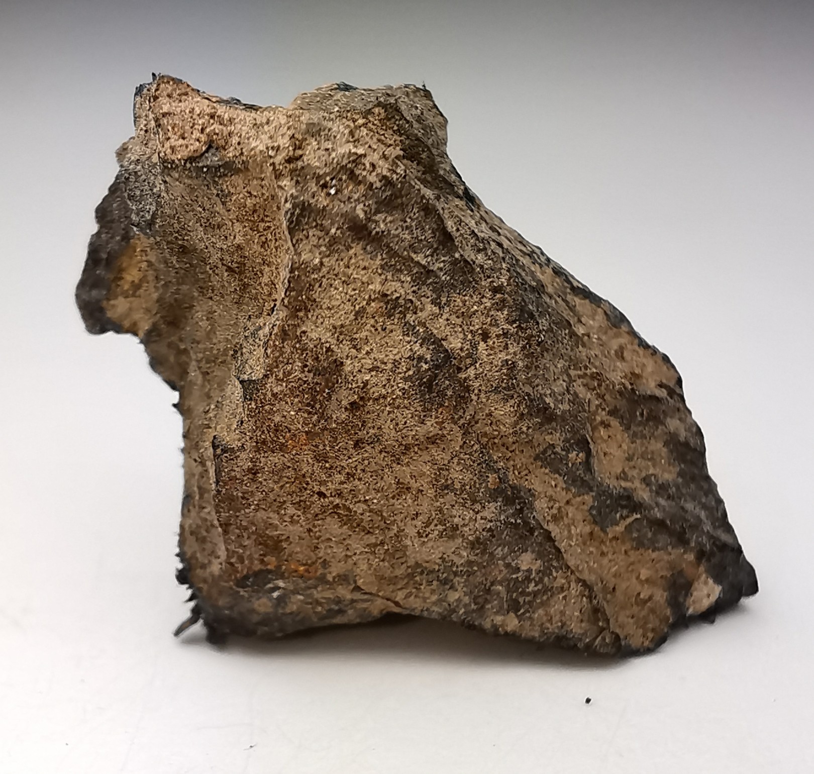Météorite Octaédrite IAB-MG - Odessa, Texas