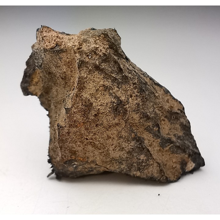 Meteorite Octahedrite IAB-MG - Odessa, Texas