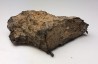 Meteorite Octahedrite IAB-MG - Odessa, Texas