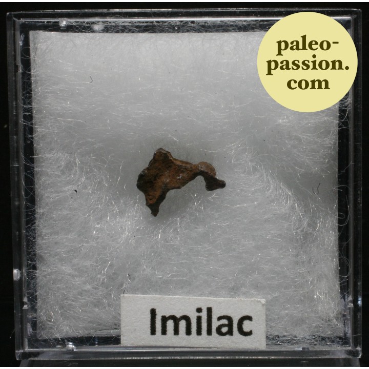Meteorite Pallasite - Imilac, Chile