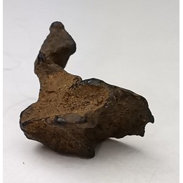 Météorite Pallasite - Imilac, Chili