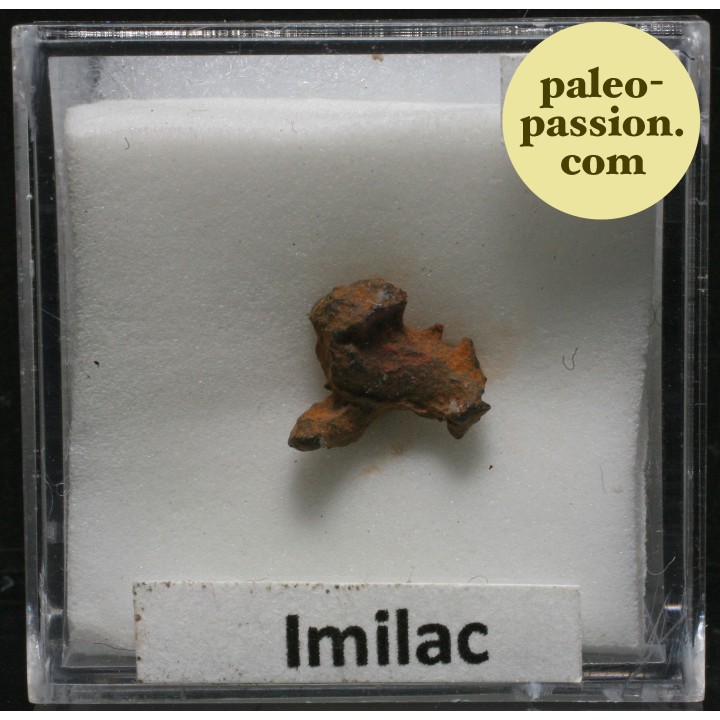 Meteorite Pallasite - Imilac, Chile