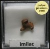 Météorite Pallasite - Imilac, Chili