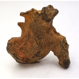 Meteorite Pallasite - Imilac, Chile