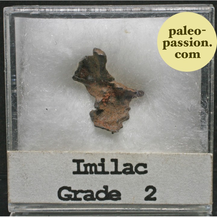 Meteorite Pallasite - Imilac, Chile