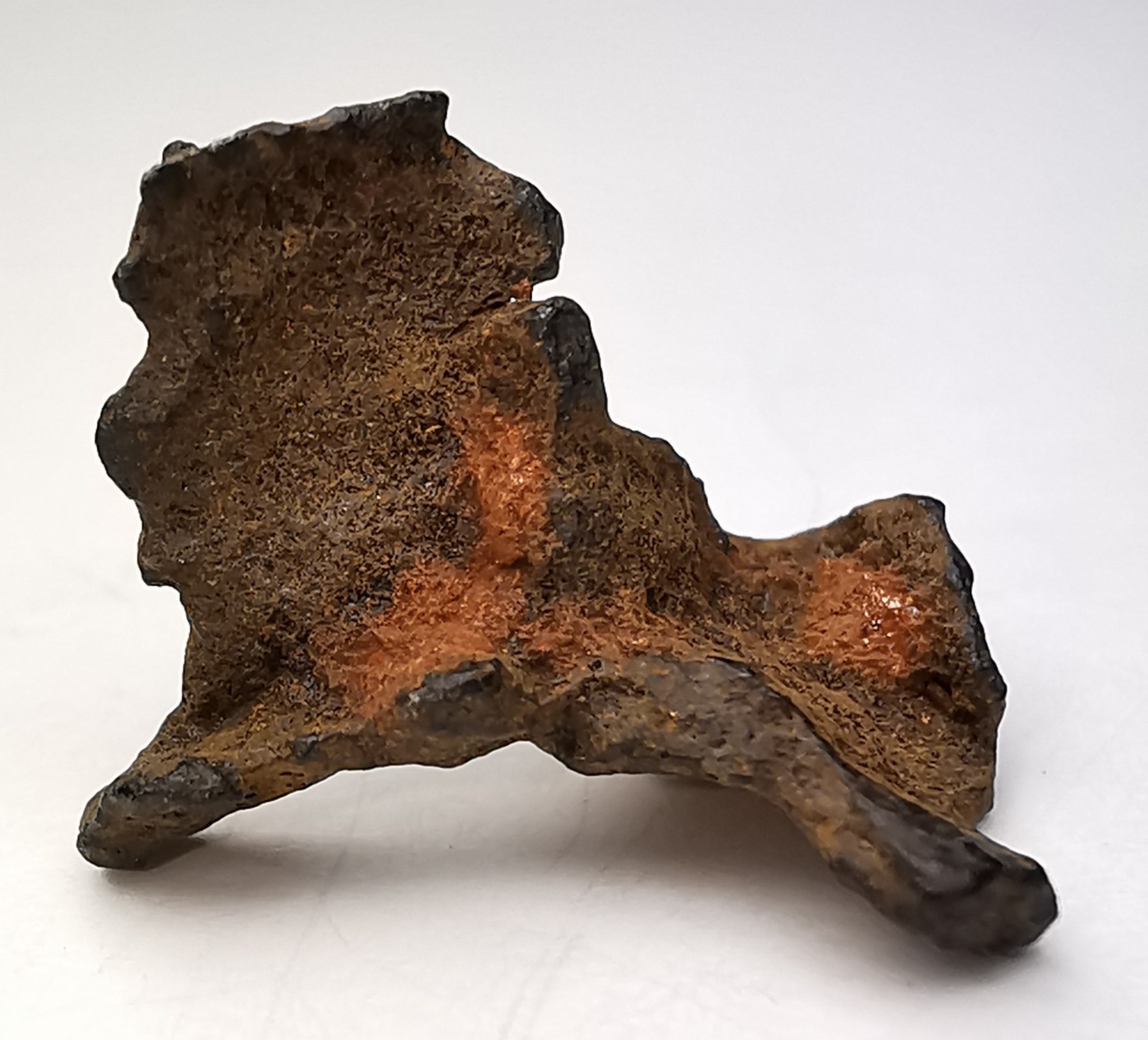 Meteorite Pallasite - Imilac, Chile