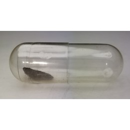 Météorite Chondrite H3-5 - Buck Mt Wash, Arizona
