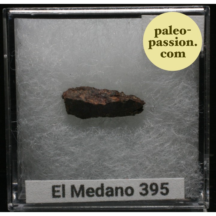 Météorite Brachinite - El Medano 395, Chili