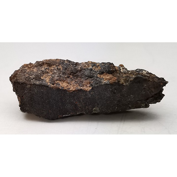 Meteorite Brachinite - El Medano 395, Chile