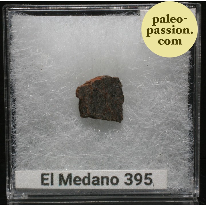 Météorite Brachinite - El Medano 395, Chili