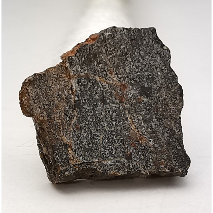 Meteorite Brachinite - El Medano 395, Chile