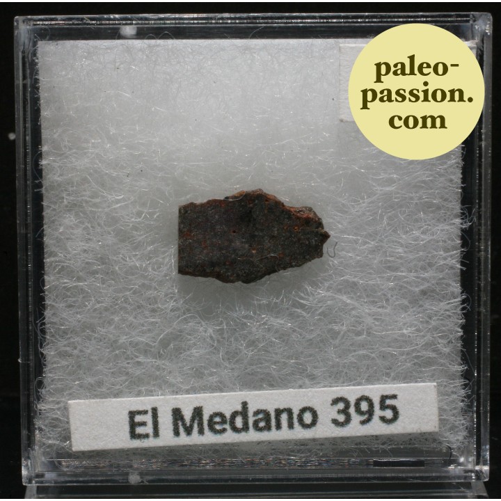 Météorite Brachinite - El Medano 395, Chili