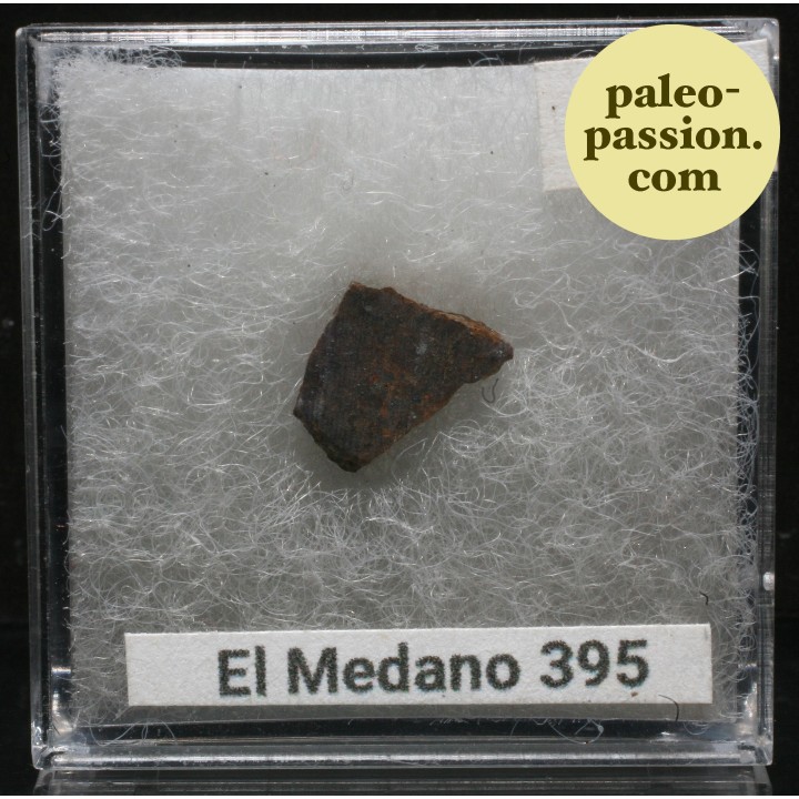 Météorite Brachinite - El Medano 395, Chili