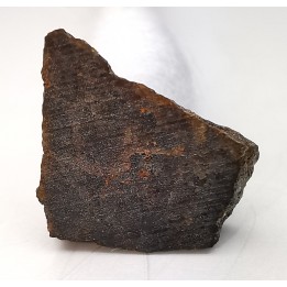 Meteorite Brachinite - El Medano 395, Chile