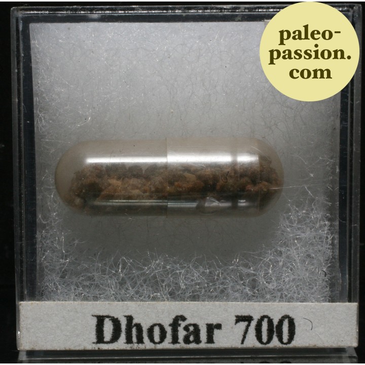 Meteorite Diogenite - Dhofar 700, Oman