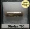 Meteorite Diogenite - Dhofar 700, Oman