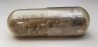 Meteorite Diogenite - Dhofar 700, Oman