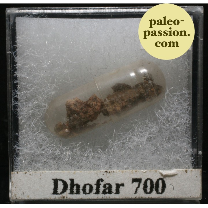 Meteorite Diogenite - Dhofar 700, Oman