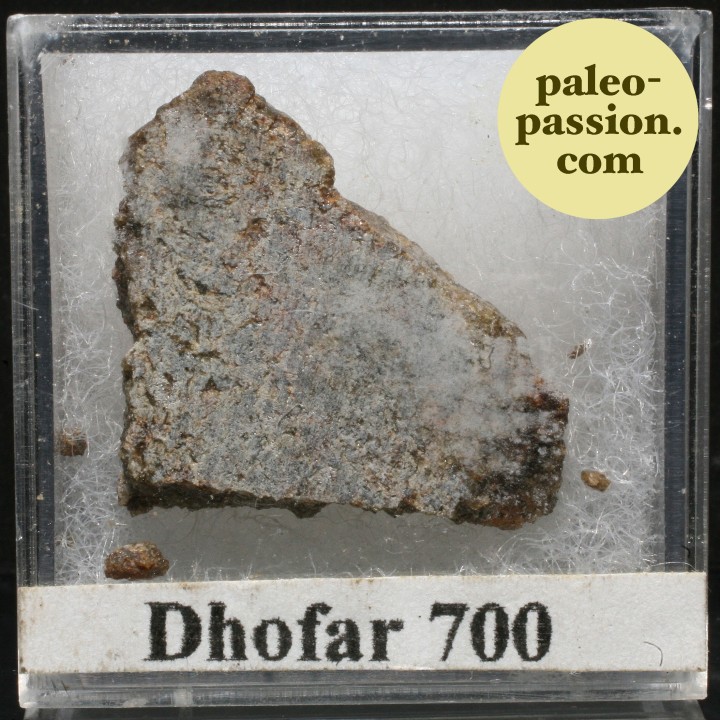 Meteorite Diogenite - Dhofar 700, Oman