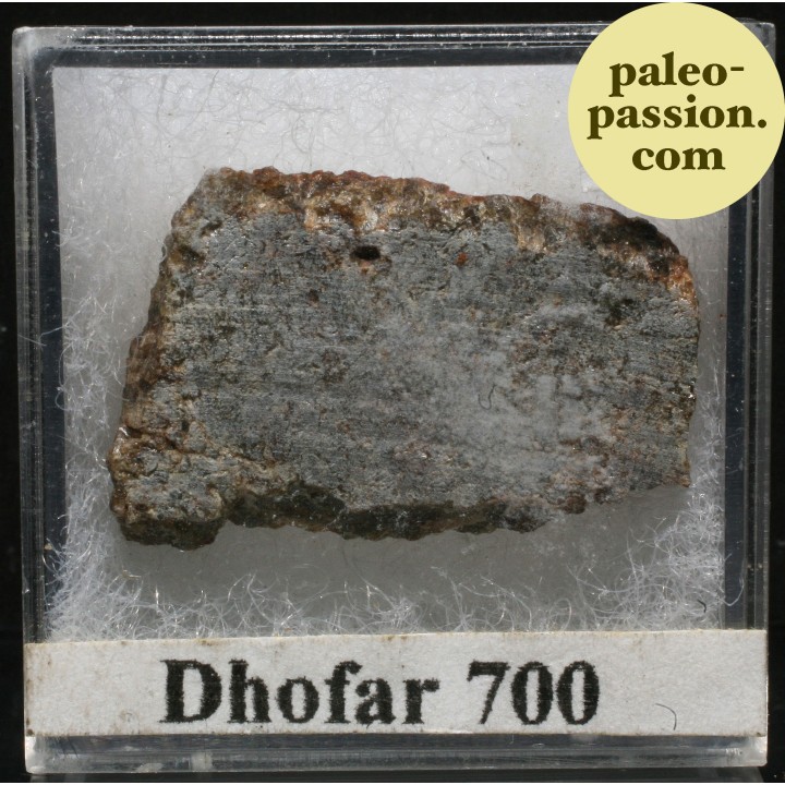 Meteorite Diogenite - Dhofar 700, Oman