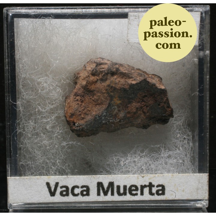 Météorite Mésosidérite - Vaca Muerta, Chili