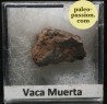 Météorite Mésosidérite - Vaca Muerta, Chili