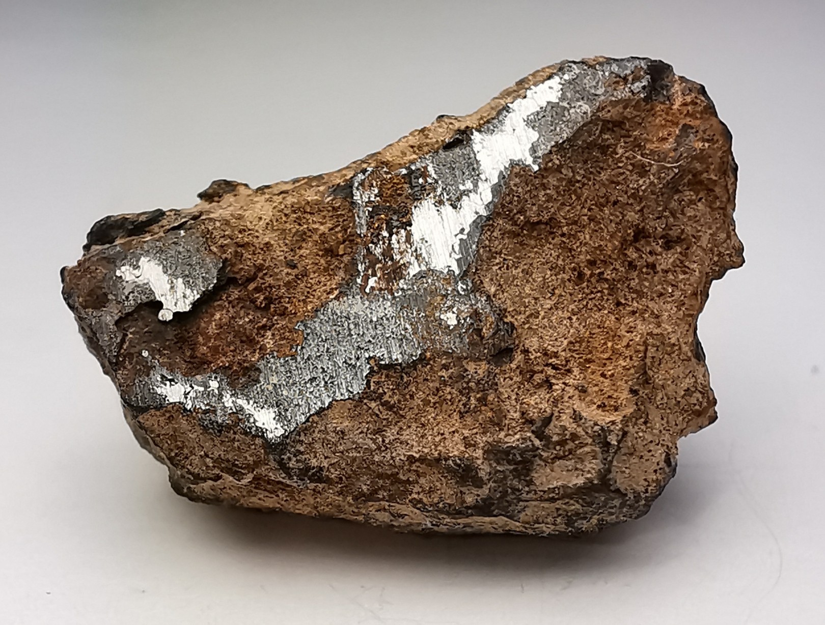 Météorite Mésosidérite - Vaca Muerta, Chili