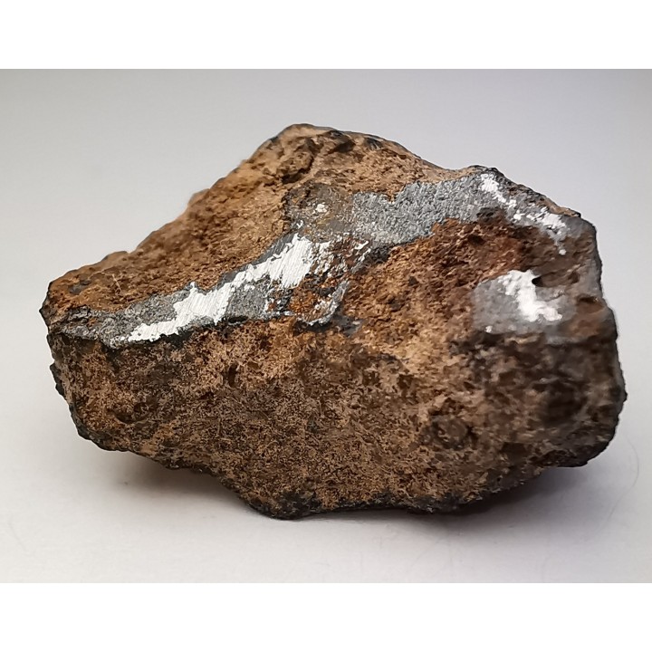 Météorite Mésosidérite - Vaca Muerta, Chili