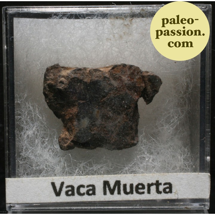 Météorite Mésosidérite - Vaca Muerta, Chili
