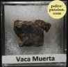 Météorite Mésosidérite - Vaca Muerta, Chili