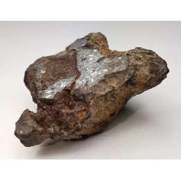Meteorite Mesosiderite - Vaca Muerta, Chile