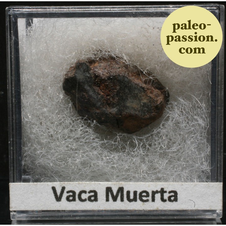 Meteorite Mesosiderite - Vaca Muerta, Chile