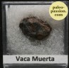 Météorite Mésosidérite - Vaca Muerta, Chili