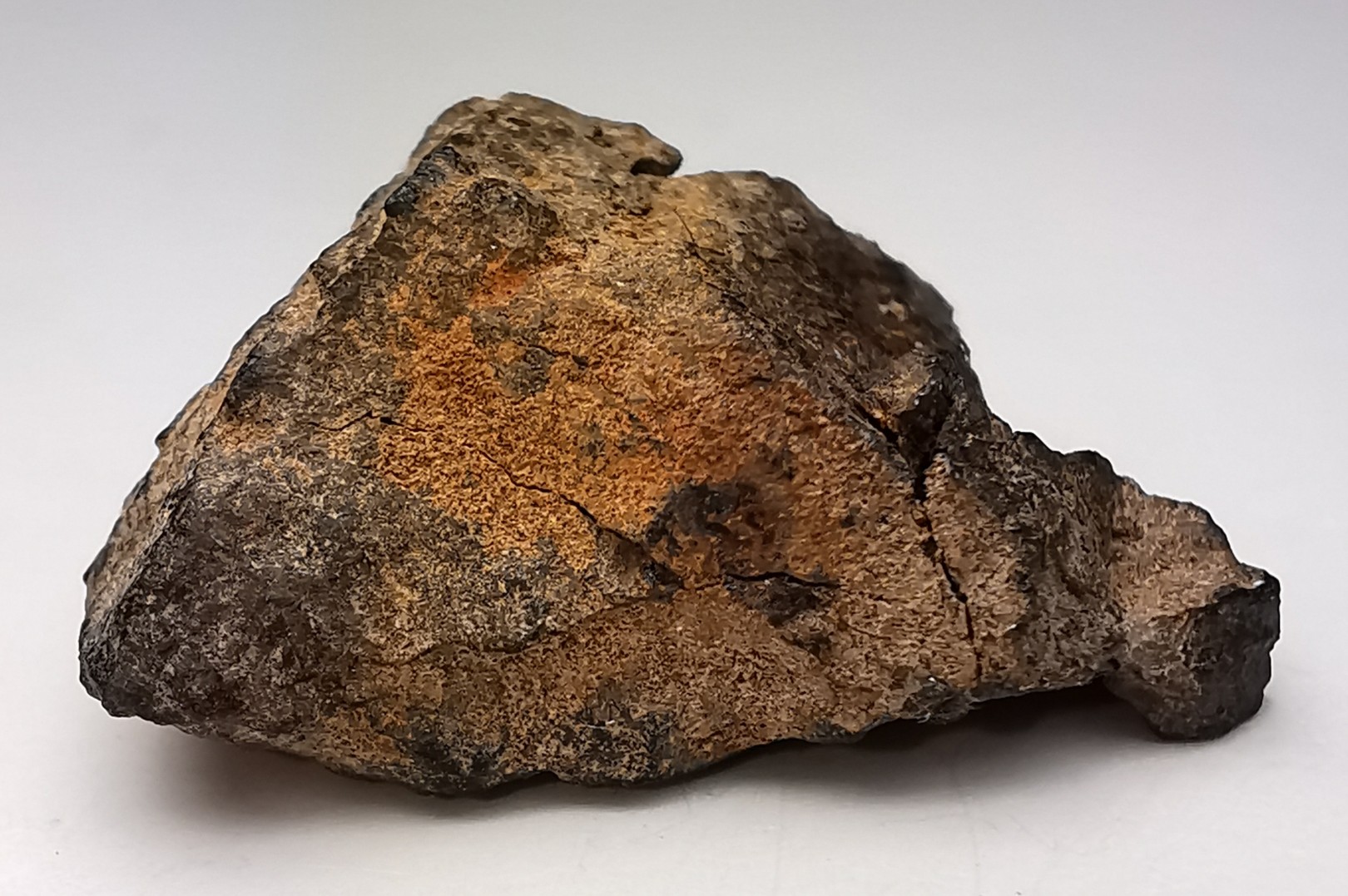 Meteorite Mesosiderite - Vaca Muerta, Chile