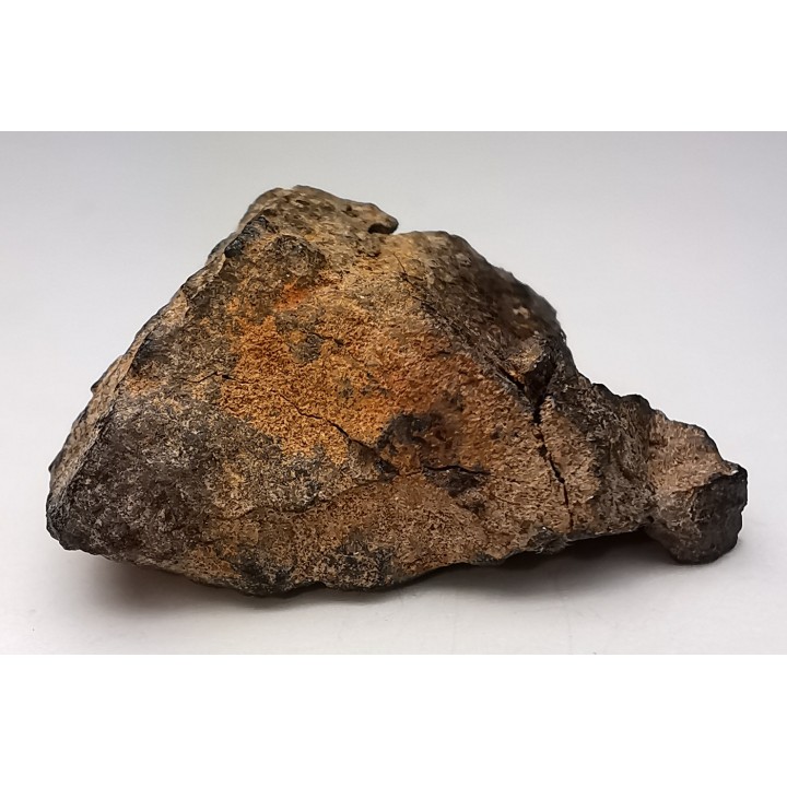 Météorite Mésosidérite - Vaca Muerta, Chili