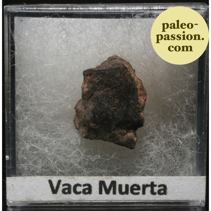 Meteorite Mesosiderite - Vaca Muerta, Chile